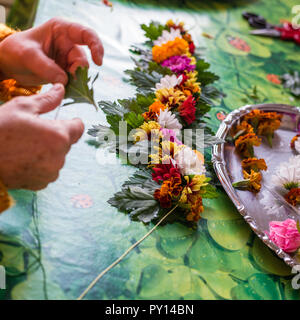 Die Hände eines jungen Devotee, der eine Blume Halskette zu ihren Gurur anbieten zu errichten. Zwischen den Blumen gibt es grüne Blätter als Schönheit Stockfoto