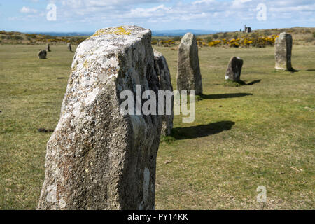 Schleuderer Steinkreise in der Nähe von Schergen auf Bodmin Moor in Cornwall, England, Großbritannien Stockfoto