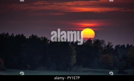 Sonnenuntergang an einem Diesigen abends hinter dem Wald im Oktober, Uppland, Schweden Stockfoto