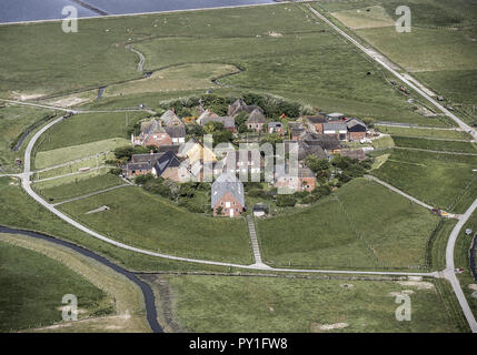Hallig Oland, Nordfriesland, Schleswig-Holstein, Deutschland Stockfoto