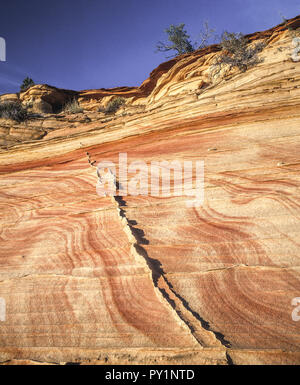 Risse in den Sandsteinfelsen, USA Stockfoto