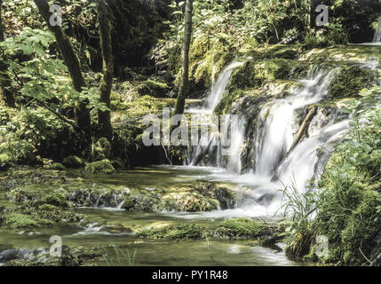 Waldbach Mit Kleinem Wasserfall Stockfoto