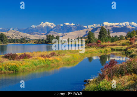 Herbst Farben entlang der flathead River unterhalb der Mission Berge in der Nähe von Dixon, Montana Stockfoto