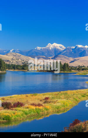 Herbst Farben entlang der flathead River unterhalb der Mission Berge in der Nähe von Dixon, Montana Stockfoto