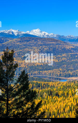 Rainy lake unter Hügeln von Lärche im Herbst Farbe und Gipfeln der Berge in der Nähe von Mission Condon, Montana Stockfoto