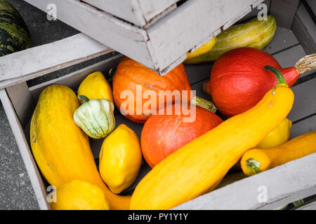 Herbst oder fallen Konzept Einstellung mit Vielzahl von orange Kürbisse in einer Holzkiste Stockfoto