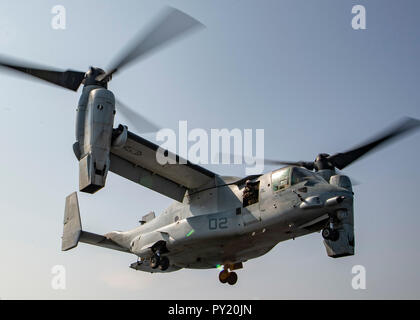 181021-N-am Arabischen Meer 135-1050 (Okt. 2010) 21, 2018) Eine MV-22 Osprey tiltrotor Aircraft, die an der "Elche" der Marine Medium Tiltrotor Squadron (VMM) 166 (verstärkt), startet von der Flight Deck von Wasp-Klasse amphibisches Schiff USS Essex (LL 2), die während einer planmäßigen Einsatz von Essex Amphibious Ready Gruppe und 13 Marine Expeditionary Unit. USS Essex ist eine flexible und hartnäckige Navy-Marine Corps Team in die USA 5 Flotte Bereich der Maßnahme zur Unterstützung der Marine im Einsatz für die Stabilität und Sicherheit in der Region zu gewährleisten, verbinden die Mediterrane Stockfoto