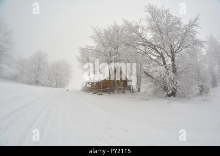 Nebligen Tag am Berg, viel Schnee, Raureif, kleine Hütte unter grossen Buche, Spuren im Schnee und schwarzen Hund in einem Abstand Stockfoto