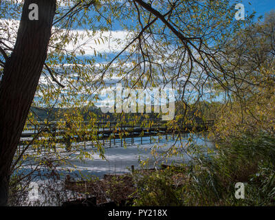 Herbst Landschaft über Behälter, Northern England, Vereinigtes Königreich, Europa Stockfoto