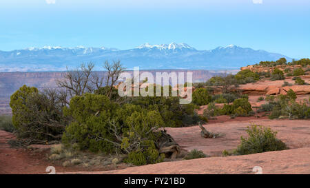 Abend im Canyonlands, in der Nähe von Moab, Utah, USA Stockfoto