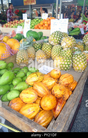 Kakaofrüchte (Theobroma cacao) unter anderen tropischen Früchten an Rusty's Markets, Cairns, Queensland, Australien. Keine MR oder PR Stockfoto