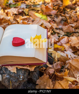 Gelbe maple leaf liegt auf der offenen Seite des Buches, in der Nähe von einem roten Herzen aus Holz, Ansicht von oben Stockfoto