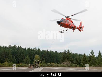 BANGOR, Washington (Okt. 23, 2018) Segler aus lokalen ballistischer Flugkörper und Raketen-U-Boote Praxis mit einem rescue Hoist von US Coast Guard MH-65 Dolphin Helikopter geführte, Coast Guard Air Station Port Angeles zugewiesen, während der medizinischen Evakuierung (Medevac) Bohrer Ausbildung bei Naval Base Kitsap-Bangor. (U.S. Marine Foto von Mass Communication Specialist 1. Klasse Amanda R. Grau/Freigegeben) Stockfoto