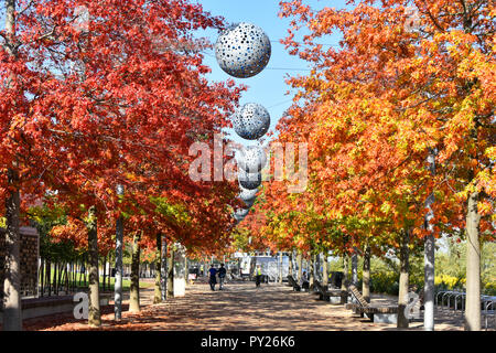 London Park Landschaft im Herbst auf den Blättern in der Allee der Bäume entlang Pfad Queen Elizabeth Olympic Park Stratford Newham East London England Großbritannien Stockfoto