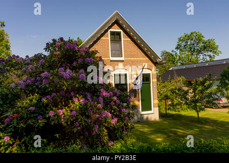 Giethoorn, Niederlande - 26. Mai: eine Fassade eines alten Cottage Haus in Giethoorn am 26. Mai 2017. Giethoorn, das Venedig der Niederlande Stockfoto