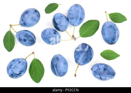 Pflaumen mit Blatt auf einem weißen Hintergrund. Ansicht von oben. Flach Muster. Stockfoto