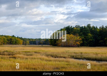 Herbst in den Salzwiesen, Scarborough, Maine Stockfoto