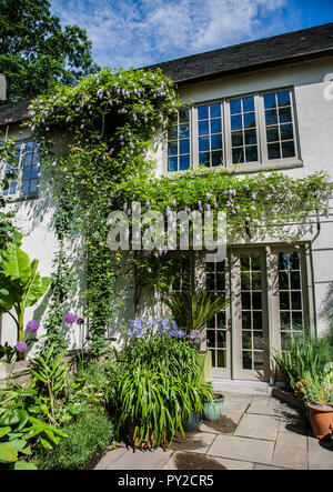 Chanticleer Garden, botanische Gärten, Wayne, Pennsylvania, USA, Formelle Gärten Wisteria vor dem Haus pt, Twining Weinstock botanischen US Stockfoto