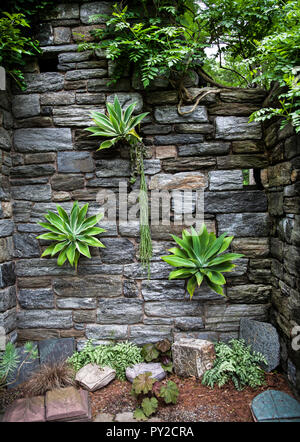 Steinmauer mit Pflanzen, Chanticleer Gardens, Wayne, Pennsylvania, USA, Formale Gärten geometrische Pflanzen botanischen Pa Bilder Blume Kaktus US Stockfoto