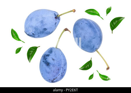 Pflaumen isoliert auf einem weißen Hintergrund. Ansicht von oben. Flach Muster. Stockfoto