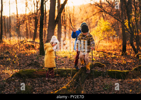 Drei Kinder beim Spielen im Wald, United States Stockfoto