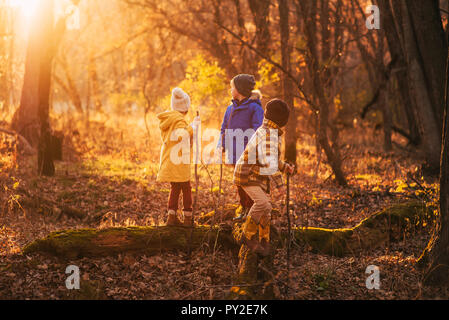 Drei Kinder zu Fuß in den Wald im Herbst, United States Stockfoto