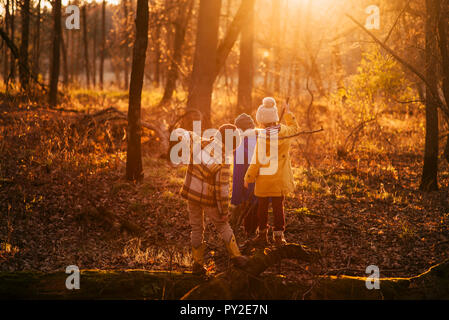 Drei Kinder beim Spielen im Wald, United States Stockfoto