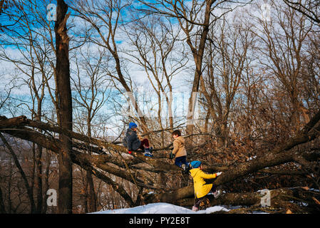 Drei Kinder beim Spielen im Wald, United States Stockfoto