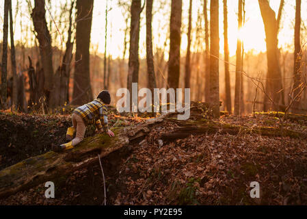 Junge entlang kriecht auf einen umgestürzten Baum im Wald, United States Stockfoto