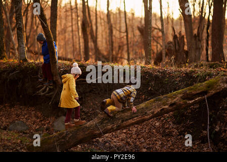 Drei Kinder beim Spielen im Wald, United States Stockfoto