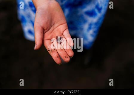 Mädchen, dass ein Wurm in Ihrer Hand, United States Stockfoto