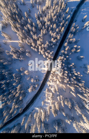 Luftaufnahme von verschneiten Wald bei Sonnenuntergang, Berchtesgaden, Bayern, Deutschland Stockfoto
