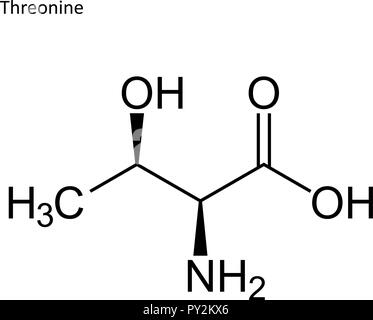 Skelettmuskulatur Formel. Aminosäure Molekül Stock Vektor