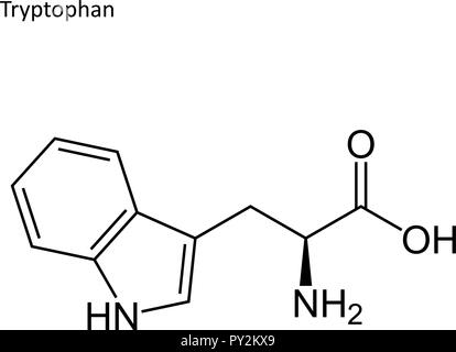 Skelettmuskulatur Formel. Aminosäure Molekül Stock Vektor