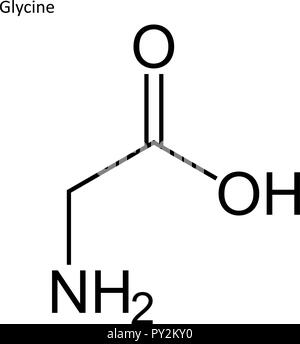 Skelettmuskulatur Formel. Aminosäure Molekül Stock Vektor