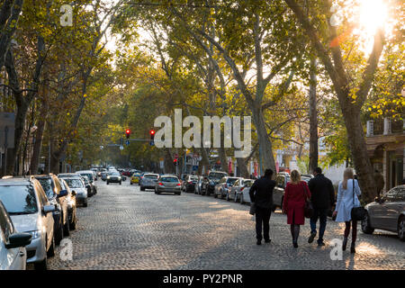 Menschen zu Fuß entlang der gepflasterten Straße mit Bäume im Herbst in Plovdiv, Bulgarien Stockfoto