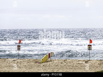 Litze Mit Surfbrett Auf Hawaii, Big Island, USA Stockfoto