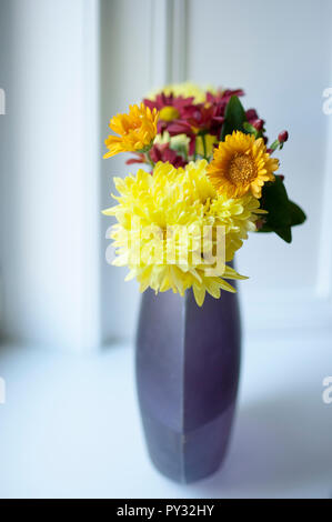 Bunten Blumenstrauß aus verschiedenen Herbst Blumen im Topf auf der Fensterbank Stockfoto