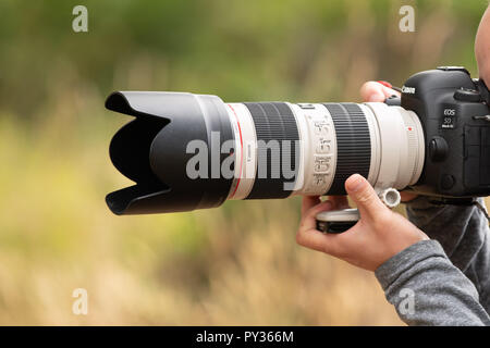 Battle Ground, WA/USA - 25. August 2018: Männliche Person, die Canon 5D Mark IV-DSLR-Kamera mit 70-200mm F2,8 Objektiv. Stockfoto