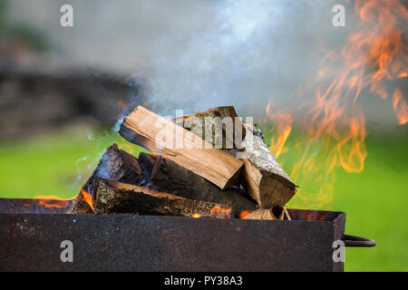 Hell brennen in Metall box Protokolle Brennholz zum Grillen im Freien an einem sonnigen Tag. Orange Flamme und weißer Rauch auf unscharfen blauer Himmel und grünes Gras b Stockfoto