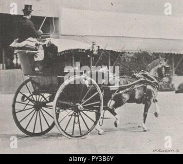 Cab primé-Concours Hippique Paris 1900. Stockfoto