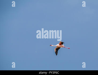 Schönheit von China Stockfoto