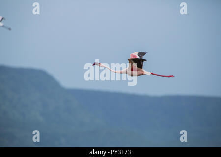 Schönheit von China Stockfoto