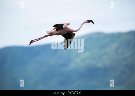 Schönheit von China Stockfoto
