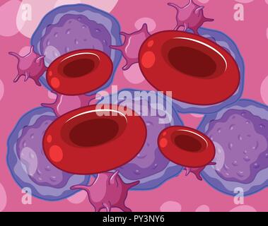 Rot weiße Blutkörperchen und Blutplättchen Abbildung Stock Vektor
