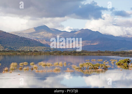 Die glaslyn Mündung von der COB am Porthmadog mit der Snowdon Horseshoe in der Ferne wider, Snowdonia National Park, North Wales, UK Stockfoto