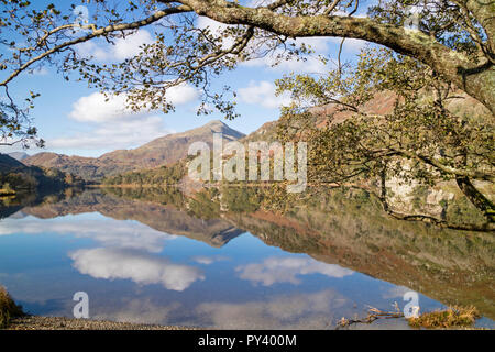 Reflexionen über Llyn Gwynant in der Nant Gwynant Tal, Snowdonia National Park, North Wales, UK Stockfoto