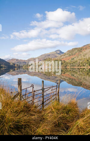 Reflexionen über Llyn Gwynant in der Nant Gwynant Tal, Snowdonia National Park, North Wales, UK Stockfoto