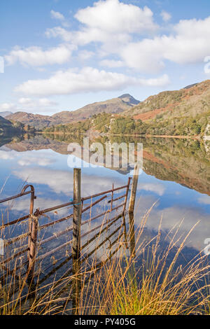 Reflexionen über Llyn Gwynant in der Nant Gwynant Tal, Snowdonia National Park, North Wales, UK Stockfoto