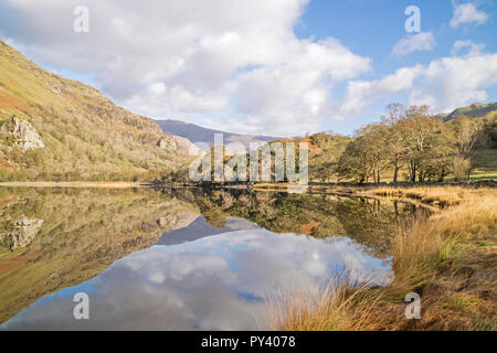 Reflexionen über Llyn Gwynant in der Nant Gwynant Tal, Snowdonia National Park, North Wales, UK Stockfoto